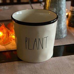 Rae Dunn Plant